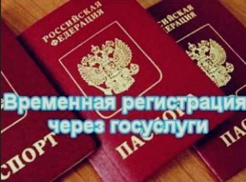 прописка в Кольчугино